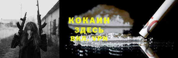 хмурый Ладушкин