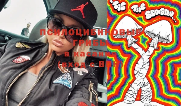 хмурый Ладушкин