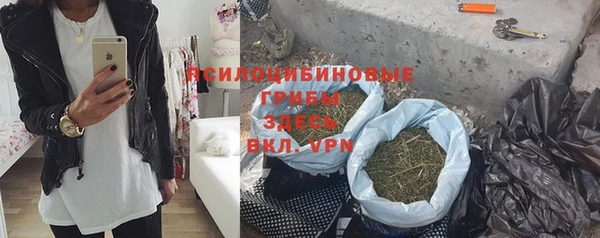 хмурый Ладушкин