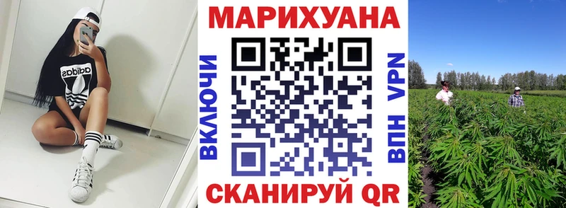 Бошки марихуана сатива  Мезень 